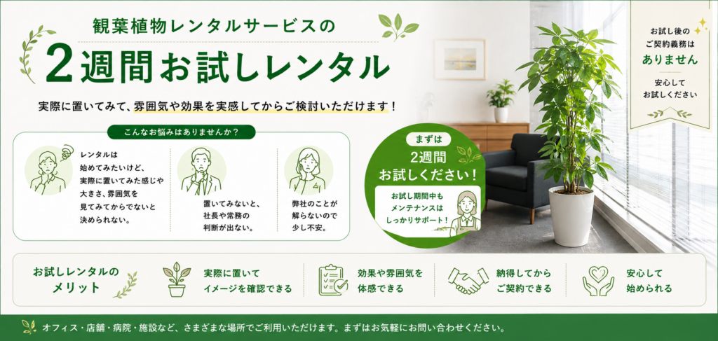 2週間無料お試しレンタル実施中！