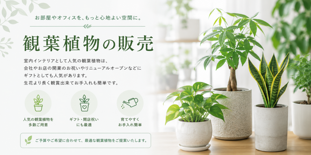 観葉植物の販売