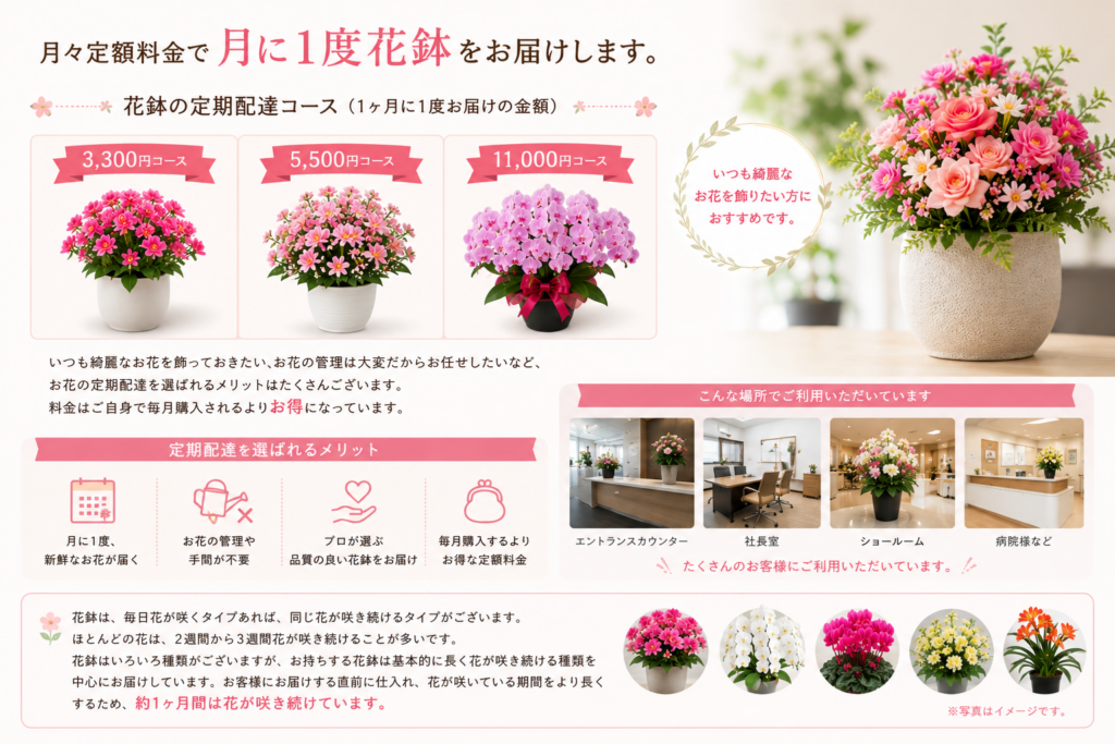 お花を毎月お届け
