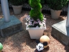 dscf0224