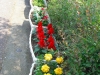 dscf0232