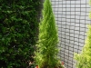 dscf1146