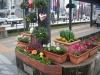 dscf0924