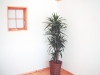 dscf0855