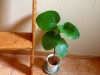 2013-06-14-16-37-11