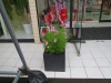 2013-09-02-15-30-18