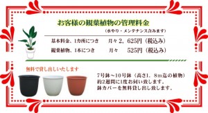 お客様の観葉植物の管理料金