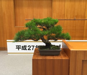 松盆栽レンタル