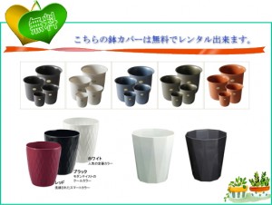 鉢カバー／無料