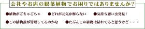 会社やお店の観葉植物でお困りありませんか