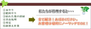 植物の管理はお任せ下さい