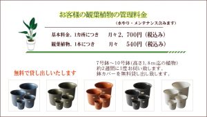 観葉植物の管理はお任せ下さい