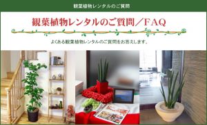 観葉植物レンタルのご質問　（ＦＡＱ）