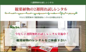 ２週間無料お試しレンタル