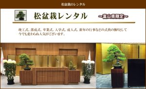 松盆栽レンタル