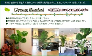 観葉植物レンタル