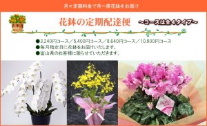 花鉢の定期配達便