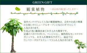 観葉植物の販売