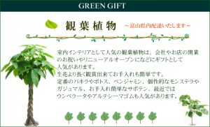 観葉植物の販売