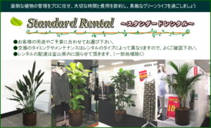スタンダードレンタル