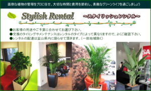 スタイリッシュレンタル