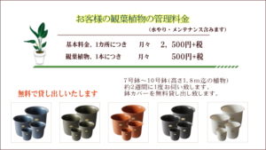 お客様の観葉植物の管理料金