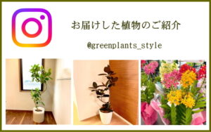 インスタグラム